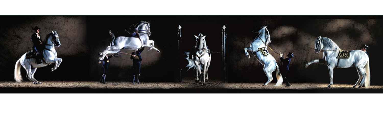  Casas Jerez de la Frontera