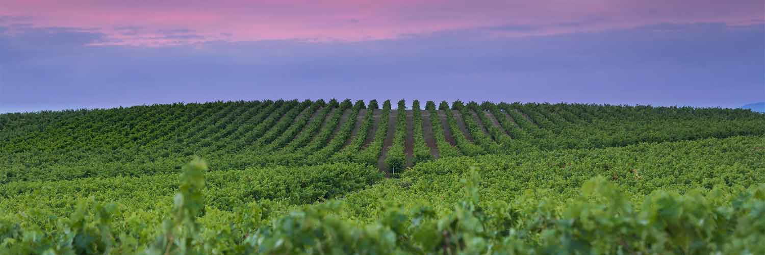 Jara Gestión Inmobiliaria